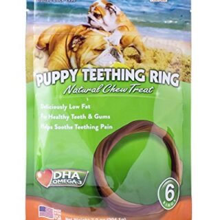 N-Bone Puppy Teething Ring Pumpkin Flavor (24 Count)