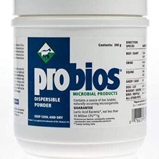 musical_instruments for Animals 240gF