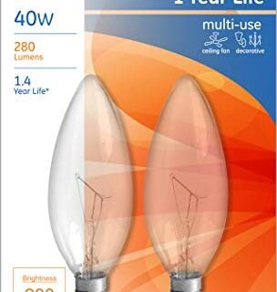 GE Lighting 12165 Light GE2PK40W CLR Blunt Bulb, Incandescent Bulbs, Warm white, 2 Count (Pack of 1), Clear