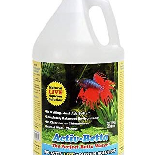 Activ Beta by Natures Ocean, Instant Water for Betta and All Fresh Water Fish- BIO ACTIV Live AQUEOUS Solution- 1 Gallon